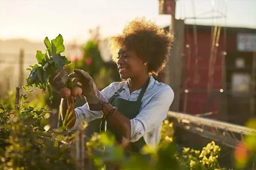 A lady outside with plants