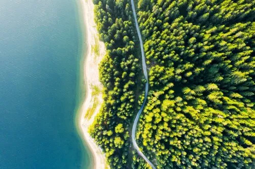 Aerial Ocean and Trees Scene - listing card