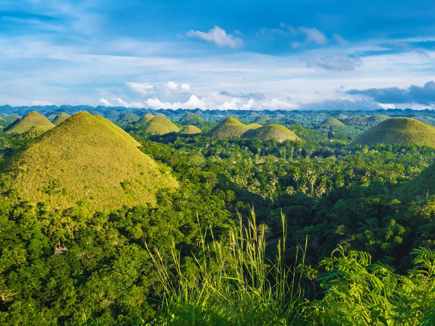 Chocolate Hills, Bohol, Philippines - header image
