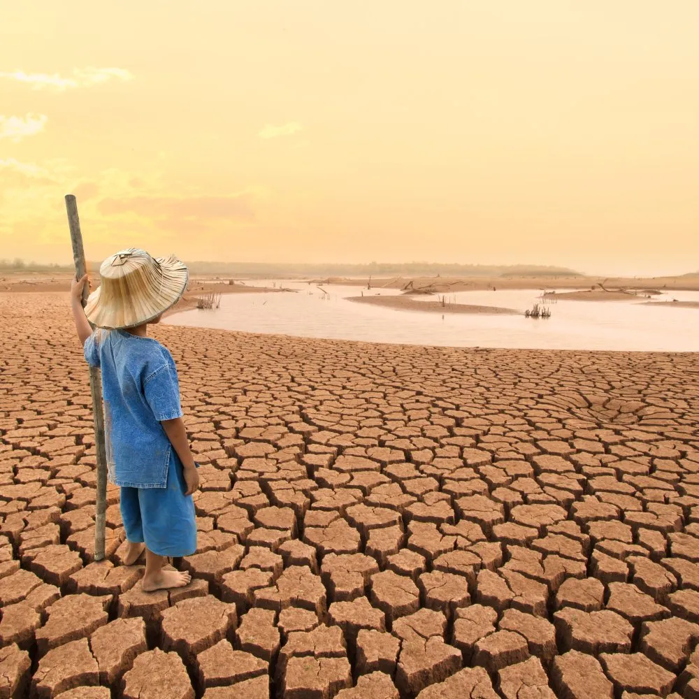 Dried out landscape scene
