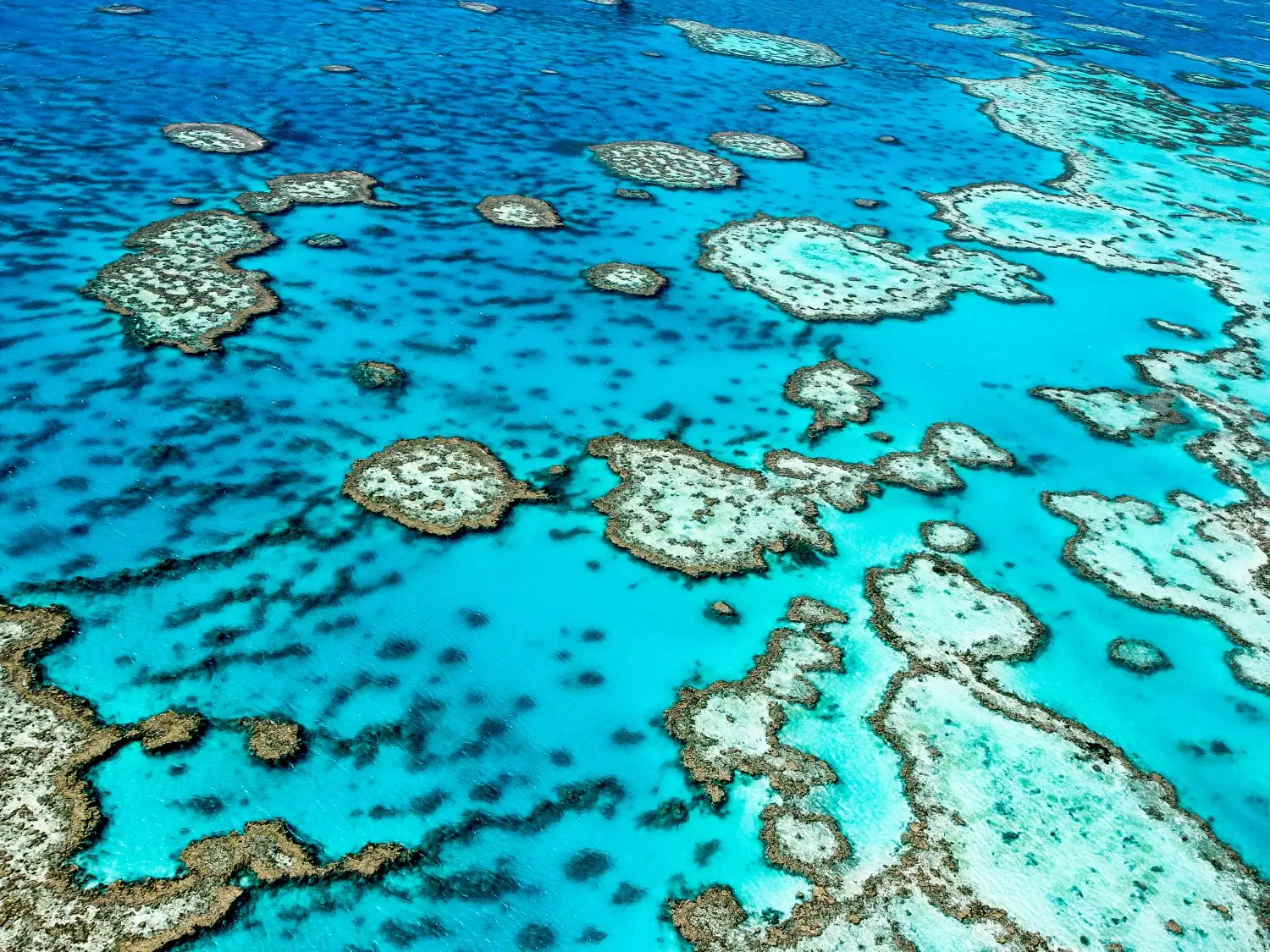 Great Barrier Reef, Australia