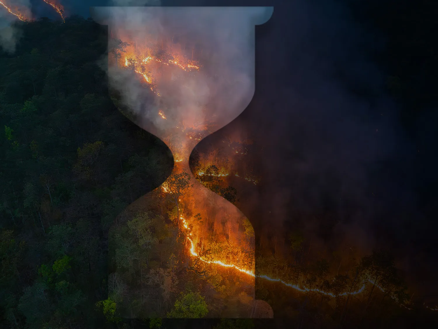 Accelerating Climate Action webinar - Banner asset