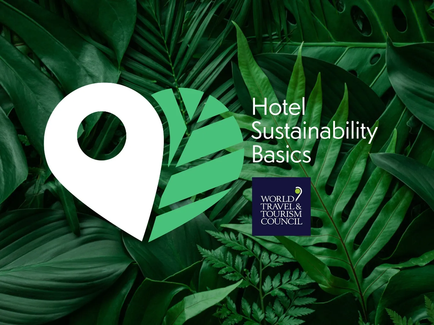 Hotel Sustainability Basics