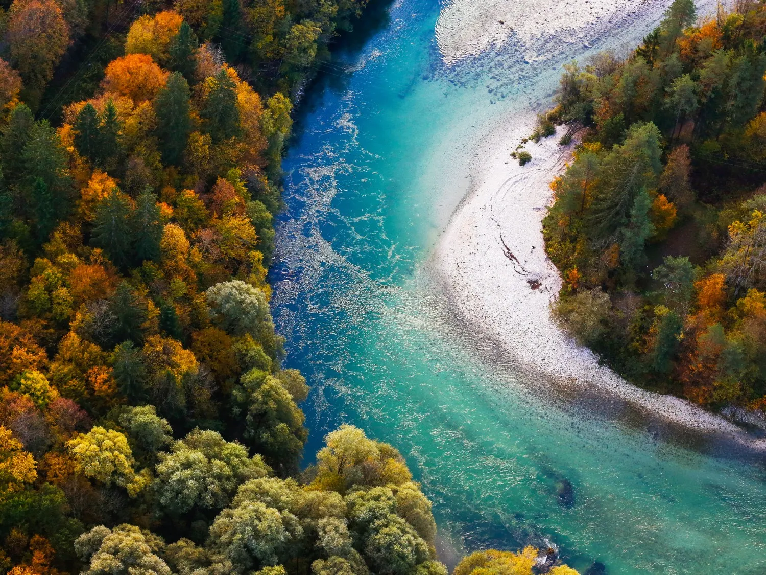 Natural landscape during the autumn