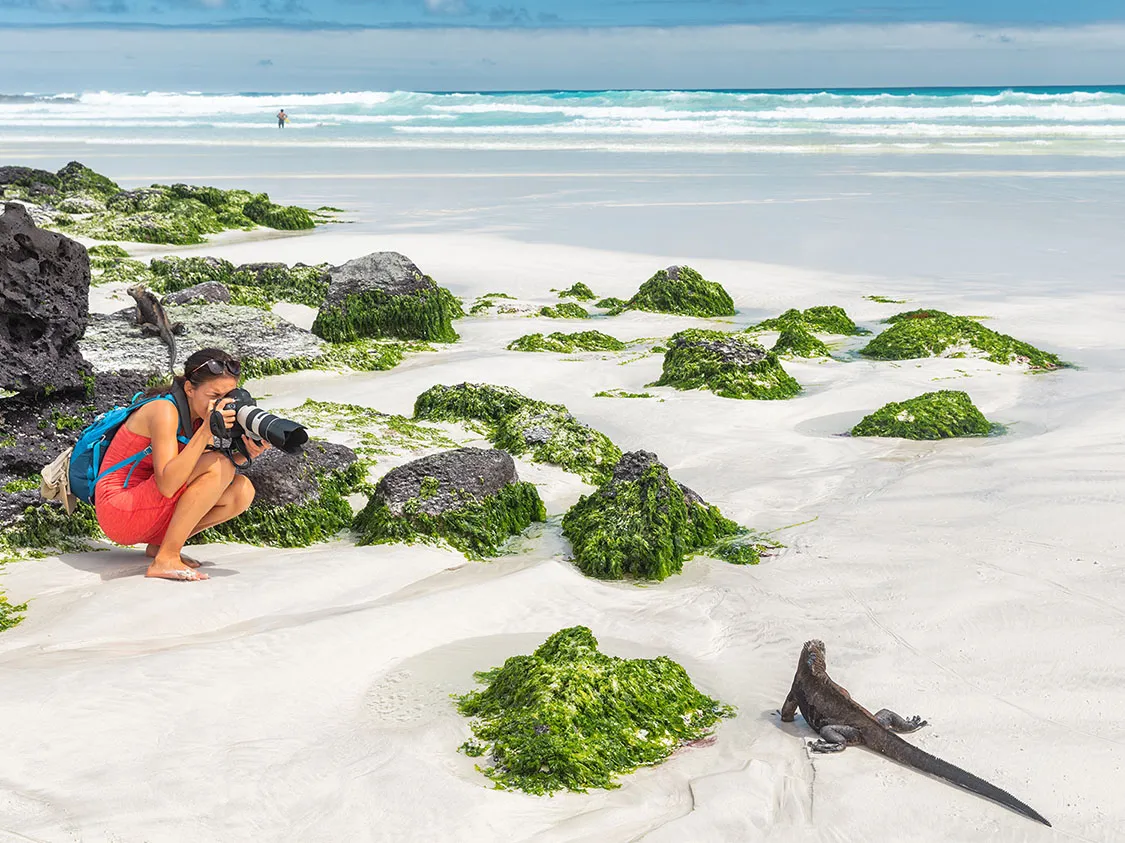 person photographing wildlife
