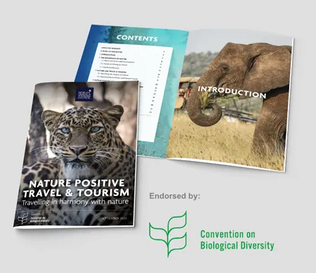 Nature Positive Travel and Tourism Report - Banner