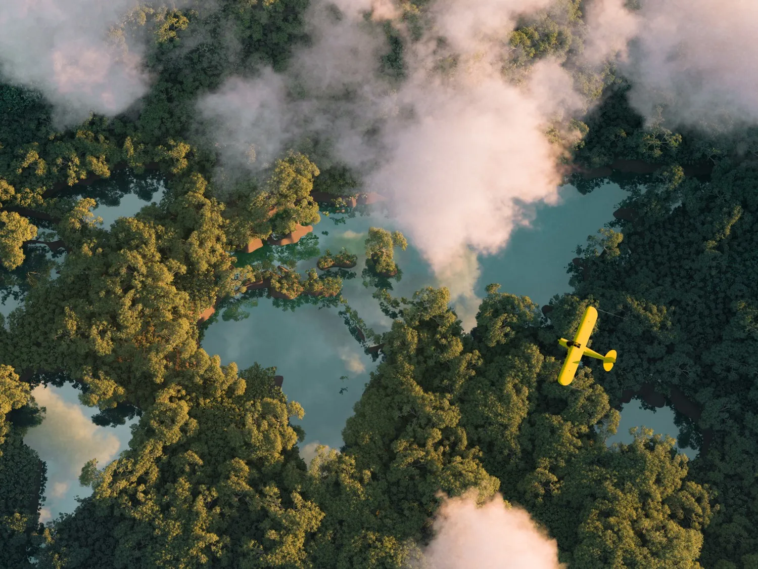 Plane flying over a forest