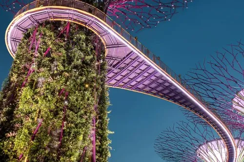 Singapore - Gardens by the Bay