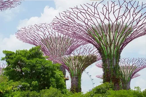 Singapore Gardens by the Bay