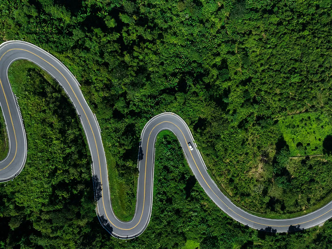 Bendy road in nature